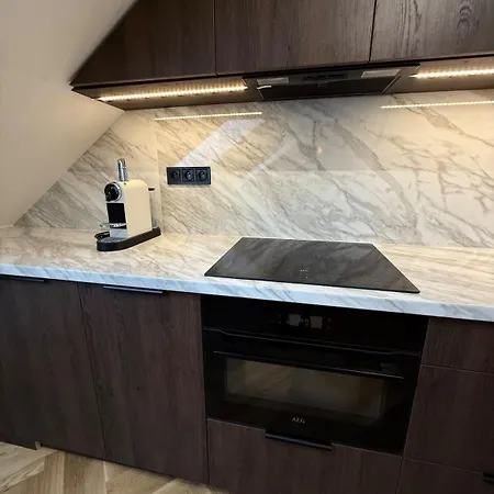Luxury New With Balcony Steps From Wenceslas Square Apartment